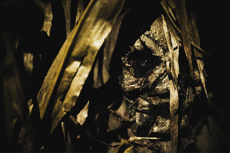 A masked Exiled character hiding in the foliage